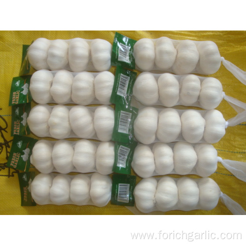 Pure White Garlic Packed In 10kg carton